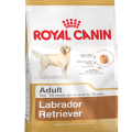 Royal Canin Labrador Retriever Adult